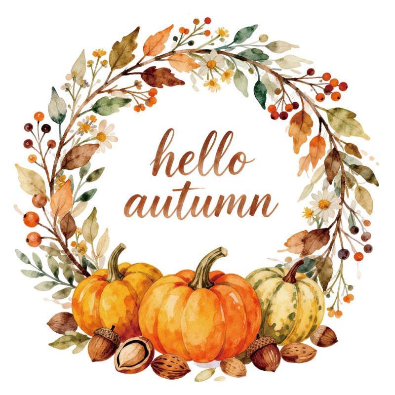 南瓜枫叶 Hello Autumn 窗贴