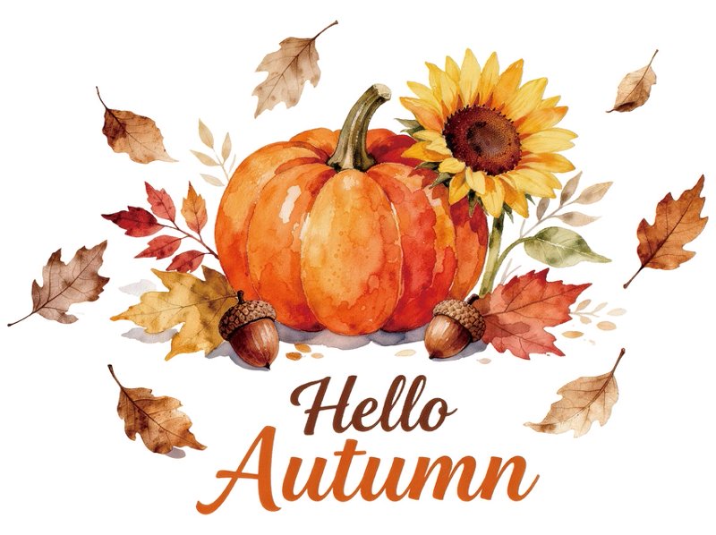 南瓜枫叶 Hello Autumn 场景窗贴